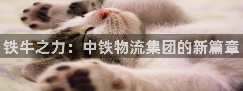 28圈加拿大能提现吗：铁牛之力：中铁物流集团的新篇章