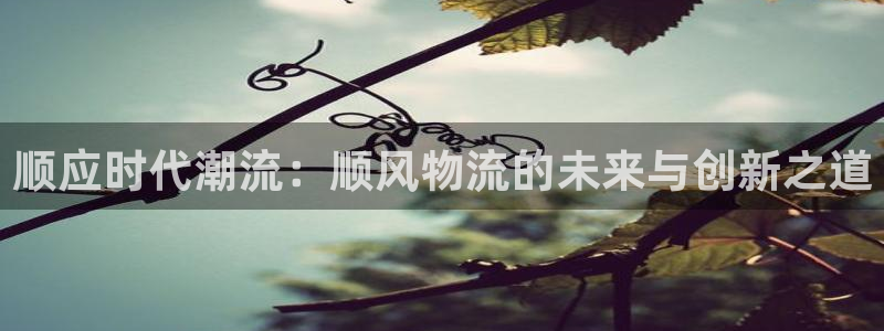 28圈.ccm正版：顺应时代潮流：顺