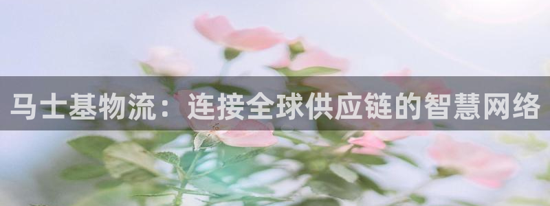 28圈注册登录链接流程：马士基物流：