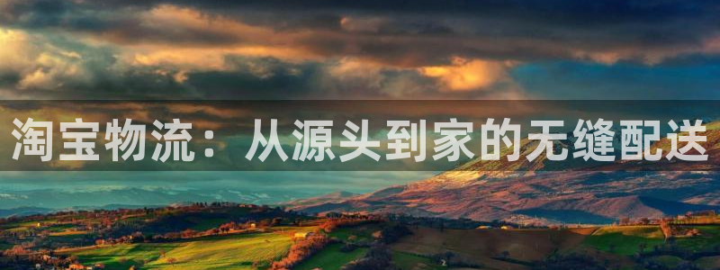28圈初始资金密码是什么：淘宝物流：