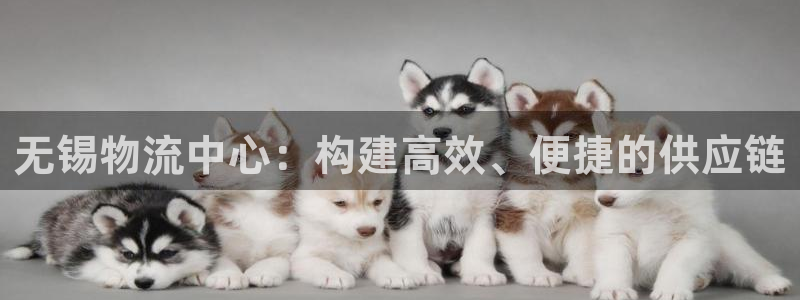 28圈p扣除：无锡物流中心：构建高效