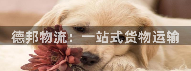 28圈推广链接是多少钱一个：德邦物流