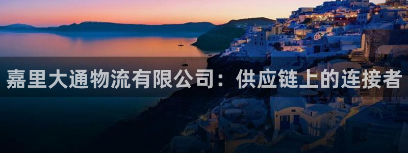 28圈登录网：嘉里大通物流有限公司：