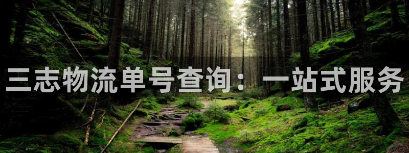28圈麻将胡了：三志物流单号查询：一