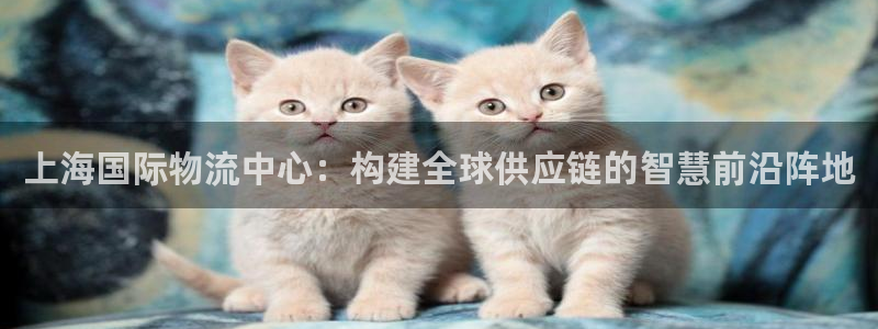 28圈人工客服电话是什么：上海国际物