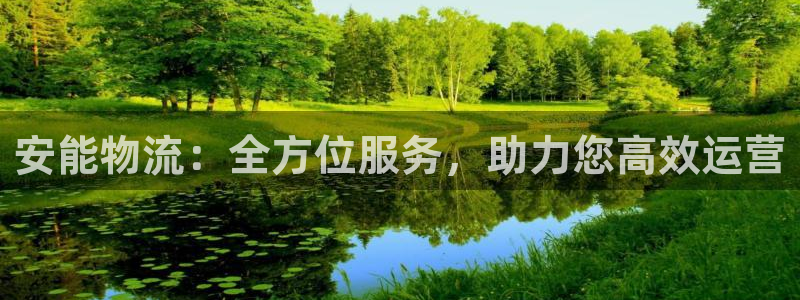 28圈注册官网：安能物流：全方位服务