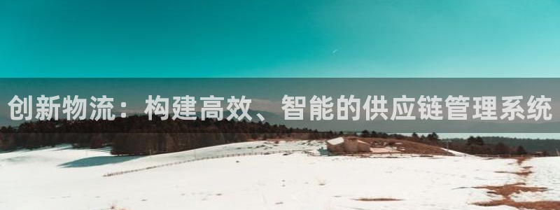28圈最稳打法：创新物流：构建高效、