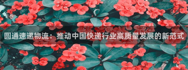 28圈加拿大技巧：圆通速递物流：推动