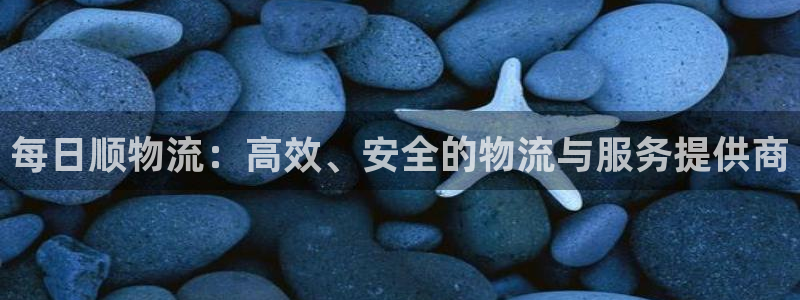 28圈技巧：每日顺物流：高效、安全的