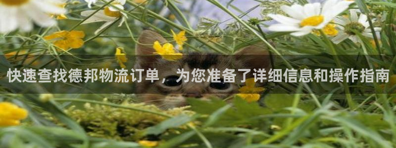 28圈怎么下载：快速查找德邦物流订单