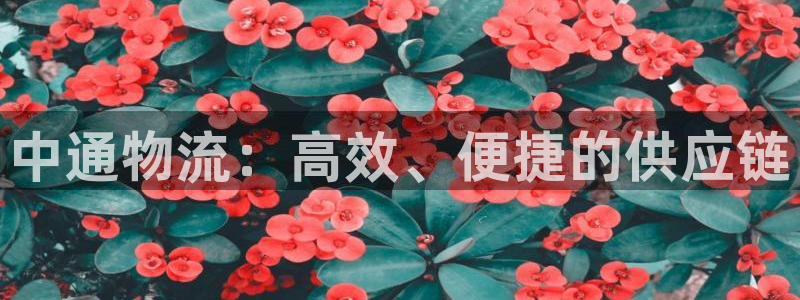 28圈加拿大下载：中通物流：高效、便