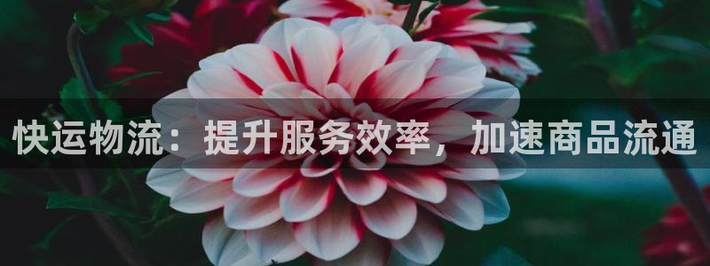 28圈初始资金密码是什么：快运物流：提升服务效率，加速商品流