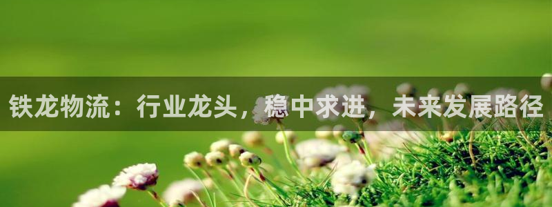 28圈加拿大是什么：铁龙物流：行业龙