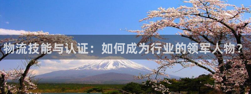 28圈辅助