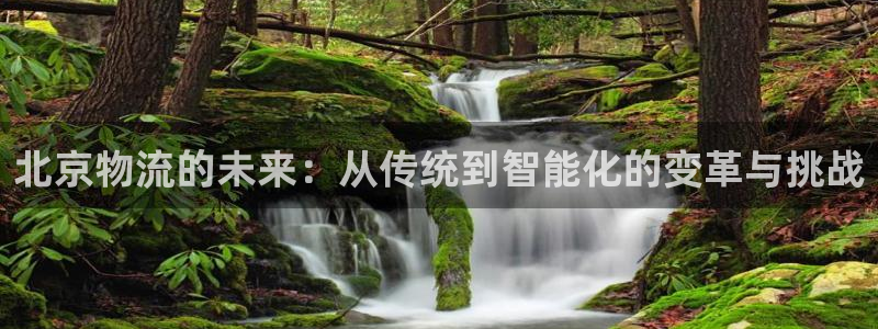 28圈初始资金密码在哪里改：北京物流