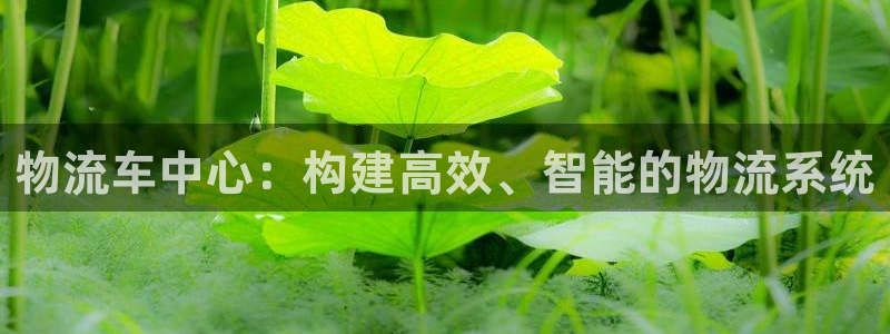 28圈里的财神：物流车中心：构建高效