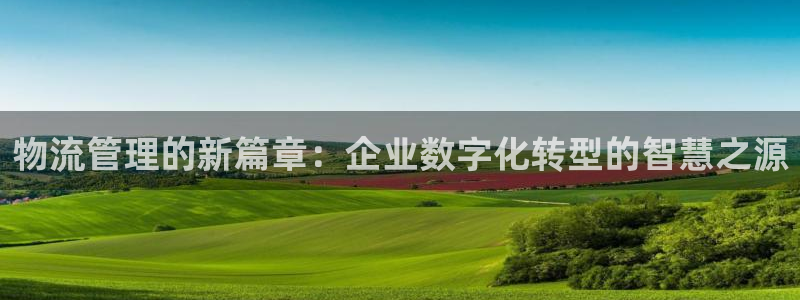 28圈下载二维码：物流管理的新篇章：