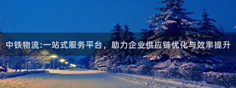 28圈注册上限是啥意思：中铁物流:一