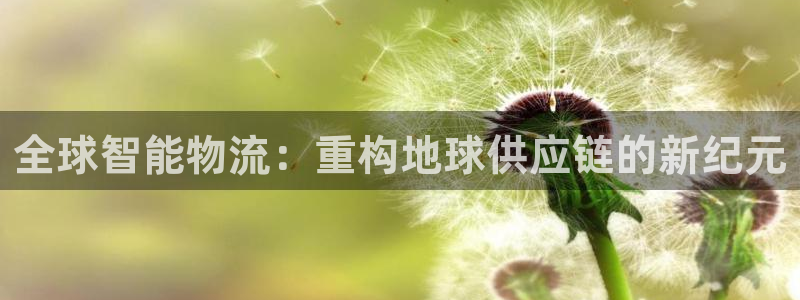28圈加拿大预测：全球智能物流：重构
