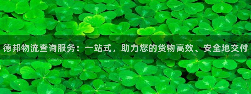 28圈如何看012路计划：德邦物流查