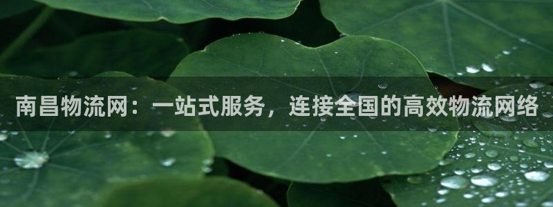 28圈人工客服电话是什么
