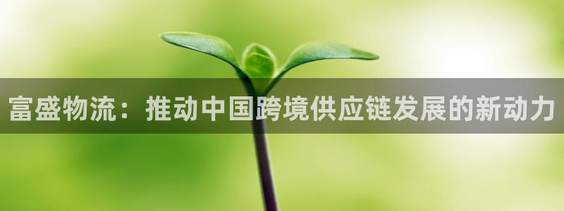 28圈下载不了