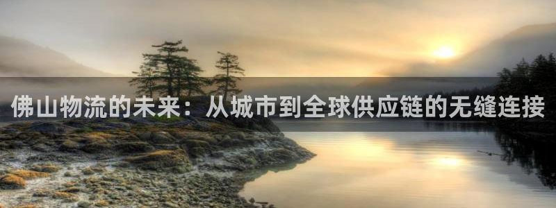 28圈登录用户名登录不上：佛山物流的