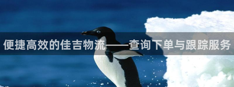 28圈模拟器在线玩：便捷高效的佳吉物