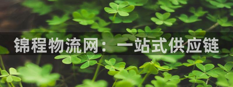 28圈娱乐官网网页下载