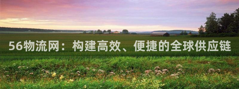 28圈登录流程：56物流网：构建高效