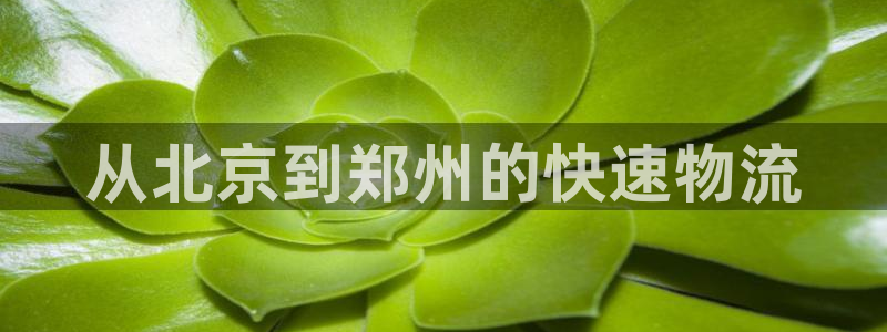 28圈app怎么注销