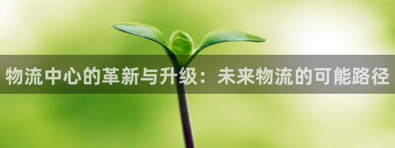 28圈圈