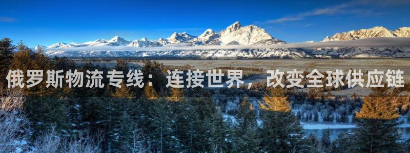 28圈p扣除