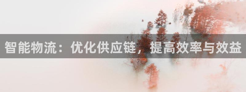 28圈注册问一问：智能物流：优化供应