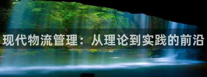 28圈模拟器：现代物流管理：从理论到