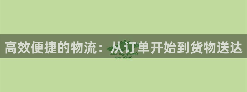 28圈注册登录：高效便捷的物流：从订