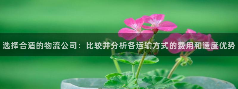 28圈激活码：选择合适的物流公司：比