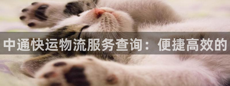28圈赌博被抓：中通快运物流服务查询