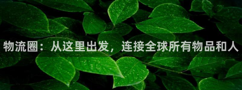 28圈现在狂杀