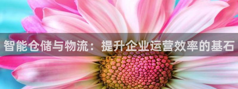 南宫28圈官网版