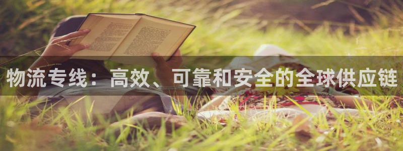 28圈现在狂杀：物流专线：高效、可靠