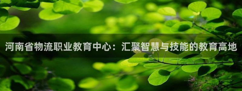 28圈注册网页：河南省物流职业教育中