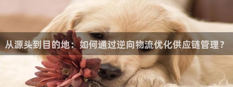 28圈加拿大模拟器：从源头到目的地：如何通过逆向物流优化供应