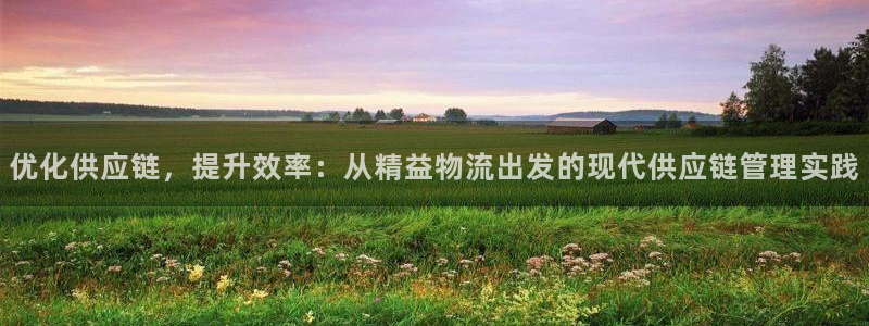 28圈预测加拿大师准：优化供应链，提升效率：从精益物流出发的