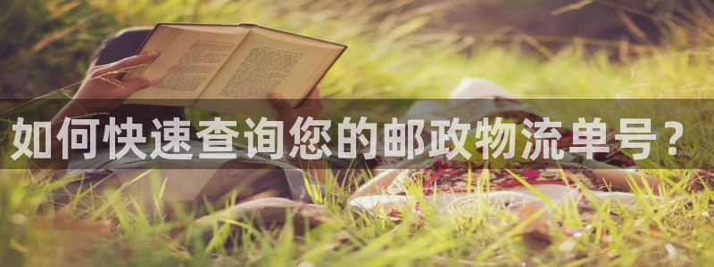 28圈加拿大28