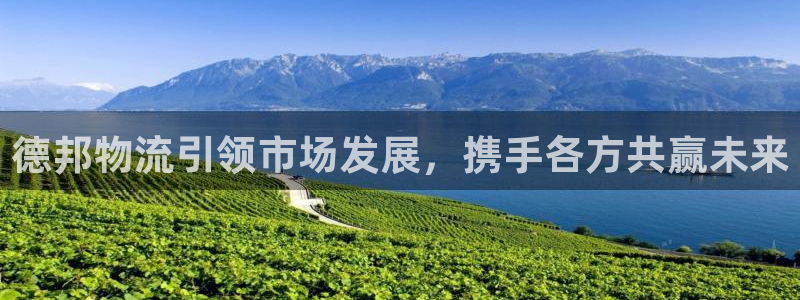 28圈注册链接教程：德邦物流引领市场发展，携手各方共赢未来