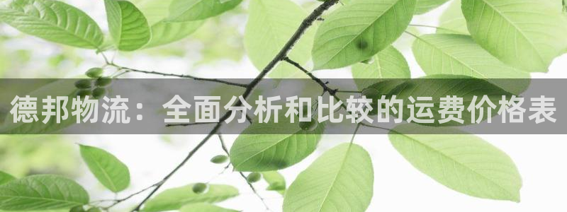 28圈龙虎：德邦物流：全面分析和比较