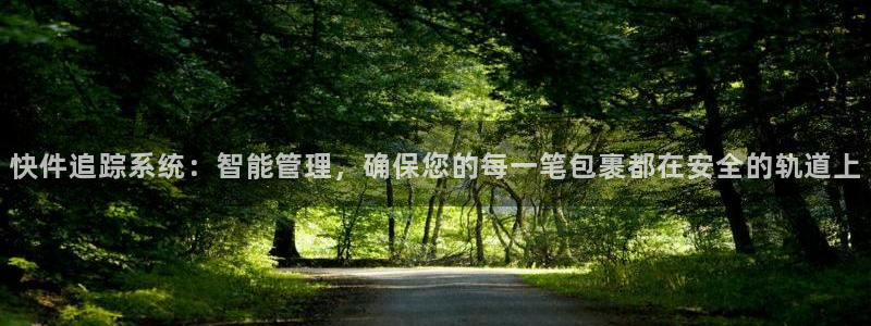 28圈注册入口与教程：快件追踪系统：智能管理，确保您的每一笔