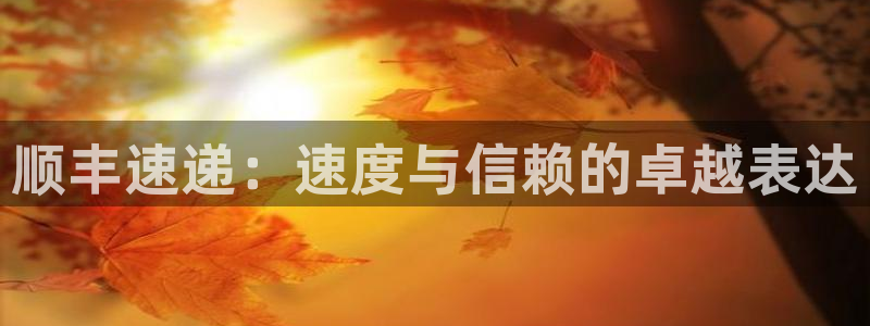 28圈登陆网：顺丰速递：速度与信赖的卓越表达