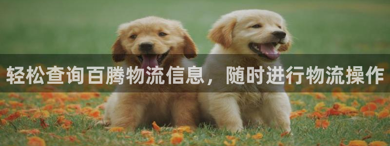 28圈官网版下载：轻松查询百腾物流信